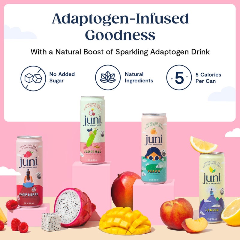 Juni Sparkling Adaptogen Drink with Ashwagandha, Lion’s Mane & Reishi Mushrooms | Green Tea for Focus, Zero Sugar, 5 Calories, Organic | Non Alcoholic Drinks - Variety Pack 12 pack - Image 4
